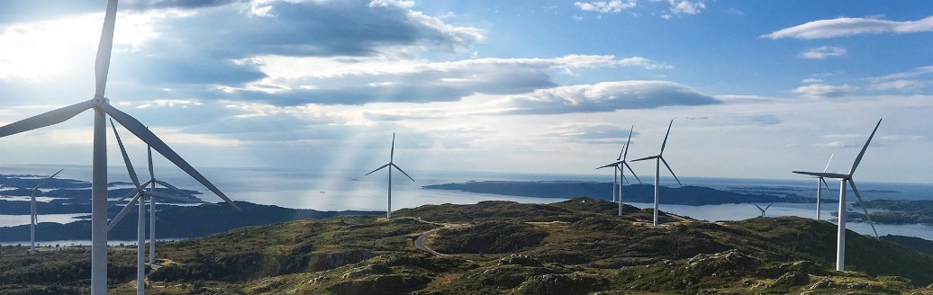 Weitläufiger Windpark